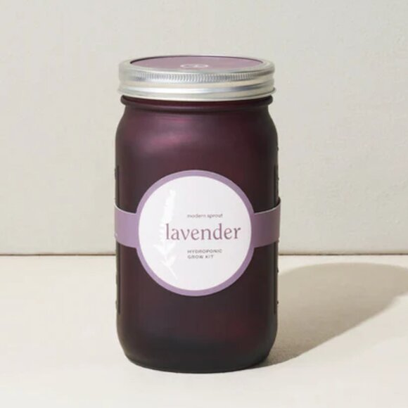 Hydroponic Lavender Grow Kit in Jar - Picture 1 of 4
